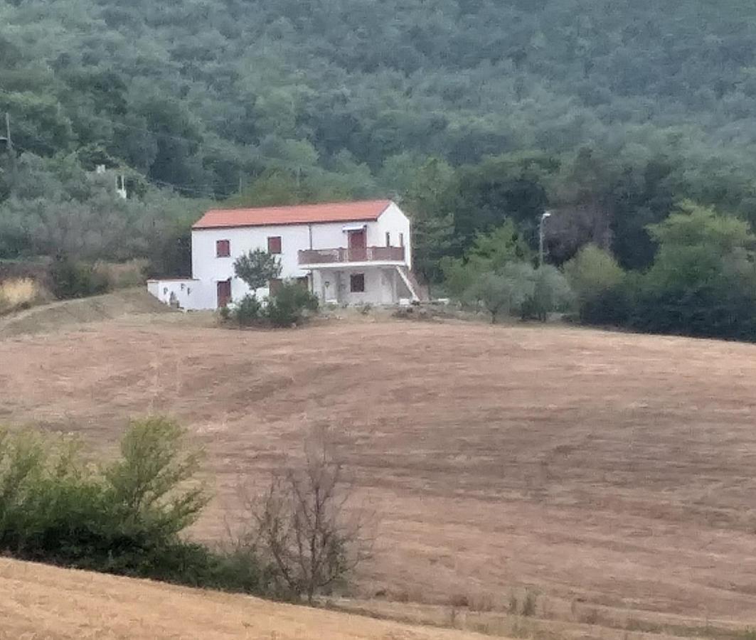Il Pettirosso